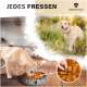 Ein gelber Labradorhund schnüffelt an einem Haustierbett in einer modernen Innenumgebung, mit dem Text "JEDES FRESSEN EIN NEUES ABENTEUER" und "URBAN PAUL" sichtbar.