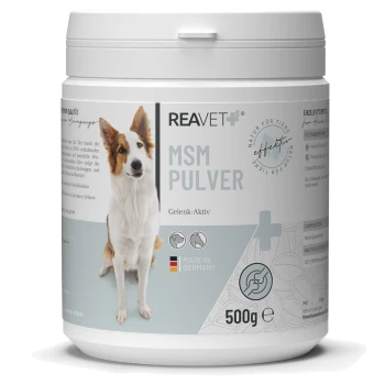 Behälter mit REAVET MSM Pulver für Hunde, 500g, beschriftet mit 'Gelenk-Aktiv', mit einem Hundebild und dem Text 'Made in Germany'.