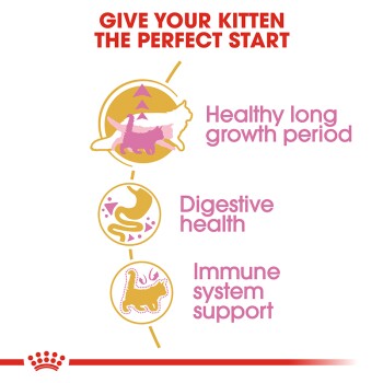 Infographic titled "Give Your Kitten the Perfect Start," highlighting benefits: healthy growth, digestive health, and immune support with icons.