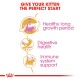 Infographic titled "Give Your Kitten the Perfect Start," highlighting benefits: healthy growth, digestive health, and immune support with icons.