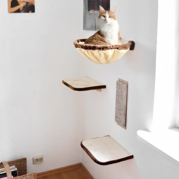 ® Katzen-Kletterwand 4-teilig beige Eine flauschige orange-weiße Katze sitzt bequem in einer gemütlichen, wandmontierten Hängematte, mit zwei Holzregalen und einem Kratzbaum in der Nähe.