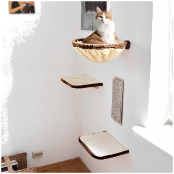 Eine flauschige orange-weiße Katze sitzt bequem in einer gemütlichen, wandmontierten Hängematte, mit zwei Holzregalen und einem Kratzbaum in der Nähe.