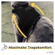 Nahaufnahme eines grauen Hundes, der ein schwarzes Geschirr trägt, mit Pfeilen, die Komfortanpassungen anzeigen, und dem Text 'Maximaler Tragekomfort' darunter.