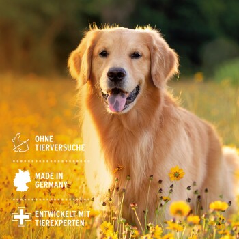 Ein Golden Retriever sitzt auf einem Feld mit gelben Blumen, mit dem Text "OHNE TIERVERSUCHE", "MADE IN GERMANY" und "ENTWICKELT MIT TIEREXPERTEN."