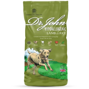 Grüne Tüte Dr. John hypoallergenes Lamm mit Reis-Hundefutter, mit einer laufenden Hundillustration, 21% Protein, 10,5% Fett und Gesundheitsansprüchen.