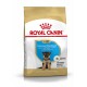 Royal Canin Welpenfutter für Deutsche Schäferhunde, geeignet für Welpen bis zu 15 Monaten, mit einem Bild eines Deutschen Schäferhundewelpen.