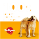 Zwei verspielte gelbe Labradorwelpen auf einem leuchtend orangefarbenen Hintergrund mit "100% komplett Trockenfutter für Welpen" und dem Pedigree-Logo.