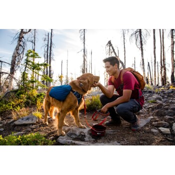 Ein golden retriever, der ein blaues Geschirr trägt, interagiert liebevoll mit einer Person in einem roten Shirt, vor einer felsigen Strecke und spärlichen Bäumen.