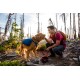 Ein golden retriever, der ein blaues Geschirr trägt, interagiert liebevoll mit einer Person in einem roten Shirt, vor einer felsigen Strecke und spärlichen Bäumen.