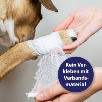 Vorderpfote eines Hundes in Mull gewickelt, gehalten von Händen; blauer Kreis: 'Kein Verkleben mit Verbandsmaterial'.