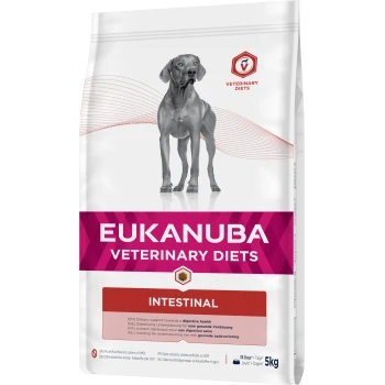 Veterinary Diet Trockenfutter Hund Intestinal Adult 5 kg Eukanuba Veterinärdiäten Intestinal Hundefutterbeutel, mit einem grauen Hund, mit Text, der die diätetische Unterstützung für die Verdauungsgesundheit hervorhebt.