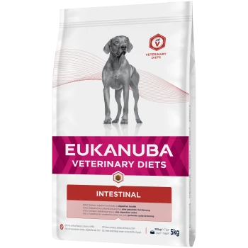 Torba z jedzeniem dla psów Eukanuba Veterinary Diets Intestinal, z szarym psem, z tekstem podkreślającym wsparcie dietetyczne dla zdrowia układu pokarmowego.