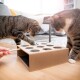 Zwei getigerte Katzen interagieren mit einem Holzpuzzle-Spielzeug auf einem hellen Holzboden, eine Katze benutzt ihre Pfote, um ein Loch zu erkunden, während die andere zuschaut.