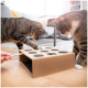 Zwei getigerte Katzen interagieren mit einem Holzpuzzle-Spielzeug auf einem hellen Holzboden, eine Katze benutzt ihre Pfote, um ein Loch zu erkunden, während die andere zuschaut.