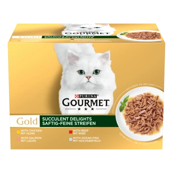 Purina Gourmet Gold Katzenfutterkarton mit weißer langhaariger Katze, Aufschrift 'Saftige Köstlichkeiten' und Schüssel mit zerrissenem Nassfutter
