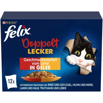 Felix Doppelt Lecker Katzenfutterbox mit schwarz-weißem Kater, 12 Packungen, Geschmacksrichtungen in Gelee, deutscher Text.