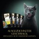 Eine graue Katze mit grünen Augen leckt sich die Lippen neben Sheba Nassfutterbeuteln, mit Huhn- und Fischgeschmack, mit deutschem Text.
