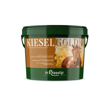 Grüner Eimer mit der Aufschrift "KIESEL GOLD" und einem Pferdebild, gefüllt mit Silikagranulat für starke Hufe und Gelenke, fördert die Gesundheit von Fell und Hufen.