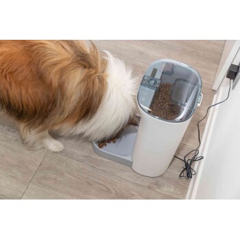 Ein Hund mit einem flauschigen Fell frisst aus einem modernen automatischen Haustierfutterspender, der mit Kibble gefüllt ist, auf einem Holzboden.