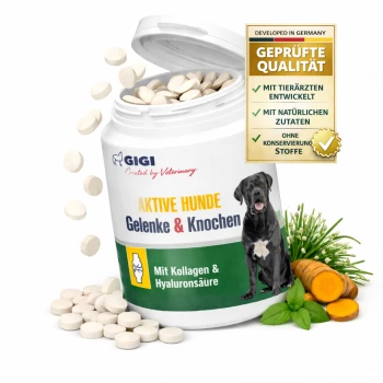 Behälter mit GIGI Gelenk- und Knochensupplementen für aktive Hunde, mit 90 Tabletten, mit Ansprüchen auf Vorteile von Kollagen und Hyaluronsäure.
