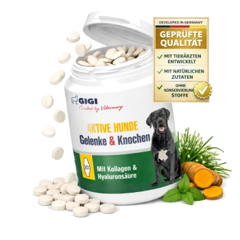 Behälter mit GIGI Gelenk- und Knochensupplementen für aktive Hunde, mit 90 Tabletten, mit Ansprüchen auf Vorteile von Kollagen und Hyaluronsäure.