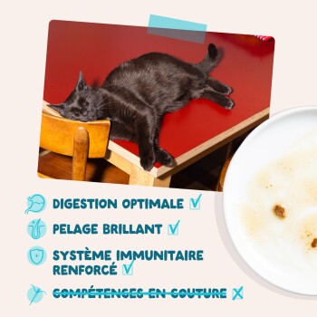 Chat noir endormi sur une table rouge ; liste en français : digestion, pelage brillant, immunité renforcée (cochés) ; compétences en couture barrées.