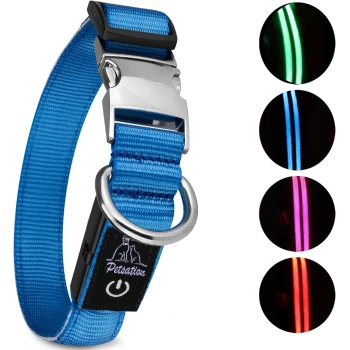 Blaues LED-Hundehalsband mit einer silbernen Schnalle und D-Ring, mit einem schwarzen Anhänger mit "PetSation"-Logo; beleuchtete Farboptionen angezeigt.