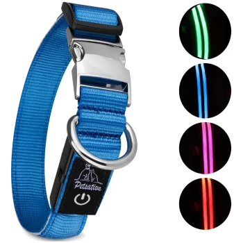 Blaues LED-Hundehalsband mit einer silbernen Schnalle und D-Ring, mit einem schwarzen Anhänger mit "PetSation"-Logo; beleuchtete Farboptionen angezeigt.