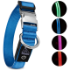Blaues LED-Hundehalsband mit einer silbernen Schnalle und D-Ring, mit einem schwarzen Anhänger mit "PetSation"-Logo; beleuchtete Farboptionen angezeigt.