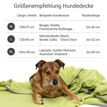 Grüne Haustierdecke von Doctor Bark, maschinenwaschbar bis 95°C, Lufttrocknung empfohlen, mit Textanweisungen auf Deutsch.