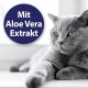 Eine Nahaufnahme einer weißen Katze mit grünen Augen, die nach oben schaut, begleitet von dem Text "Einfache Anwendung" in einer pinken Box.