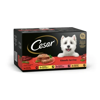 Klassiker Selektion 8x150g Cesar klassik-terrine Hundefutterverpackung mit einer schwarzen Box mit rotem Boden, die Bilder von Fleisch und einem Teller mit Terrine zeigt.