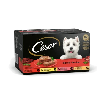 Cesar klassik-terrine Hundefutterverpackung mit einer schwarzen Box mit rotem Boden, die Bilder von Fleisch und einem Teller mit Terrine zeigt.