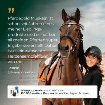 Braunes Pferd mit helmtragendem Reiter (Gesicht unscharf) und orangefarbener Satteldecke; deutsches Testimonial erwähnt 'Pferdegold Muskeln' und '100.000 weitere Kunden'.
