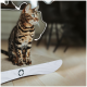 Eine Bengal-Katze sitzt auf einem modernen Kratzbaum mit weißer Holzoberfläche und einem Blattlogo und schaut nachdenklich zur Seite.