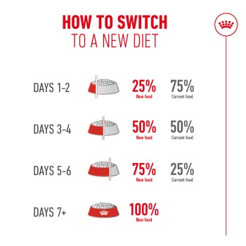 Infographic showing how to switch to a new pet diet over 7+ days with increasing new food percentages from 25% to 100%.