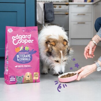 Un chien renifle un bol de croquettes sur le sol, à côté d'un sac rose de nourriture pour chien Edgard Cooper étiqueté "Betterave & Citrouille."