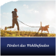 Mann joggt mit Hund an der Leine über einen grasbewachsenen Hügel bei Sonnenaufgang; blauer Banner: “Fördert das Wohlbefinden”.