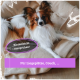 Ein kleiner Hund ruht auf einem gemütlichen beigen Hundebett, mit Textüberlagerung, die 'Kinderleicht einsprühen!' und 'Für Liegeplätze, Couch, ...' besagt.