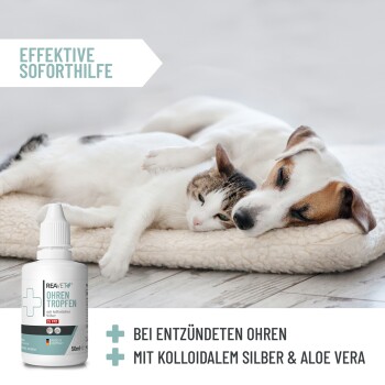 Schlafender Hund und Katze kuscheln auf einem Kissen neben einer Ohrentropfen‑Flasche mit der Aufschrift „Ohren Tropfen“; sichtbarer Text „Effektive Soforthilfe“.