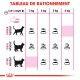 Tableau de guide d'alimentation pour chats affichant les quantités alimentaires quotidiennes recommandées en fonction des catégories de poids : sous-poids, poids idéal et surpoids.