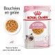Pochette de nourriture Royal Canin pour chatons, 85g x 12, présentant des morceaux de gelée tendre pour les chatons jusqu'à 12 mois, avec une image de chat et un texte en français.