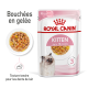 Pochette de nourriture Royal Canin pour chatons, 85g x 12, présentant des morceaux de gelée tendre pour les chatons jusqu'à 12 mois, avec une image de chat et un texte en français.