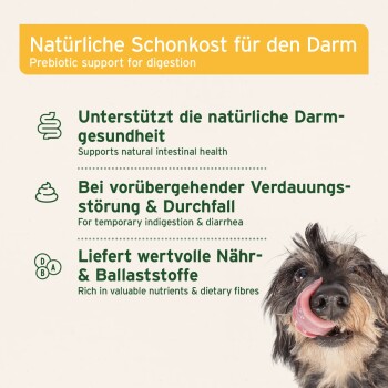 Hund leckt sich die Nase neben dem Text: "Natürliche Schonkost für den Darm / Prebiotic support for digestion."