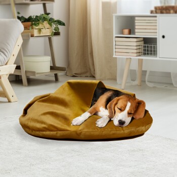 Ein gemütliches, senfgelbes Haustierbett mit einem teilweise eingerollten Beagle darin, in einem hellen, modernen Wohnzimmer mit Pflanzen und hellen Vorhängen.