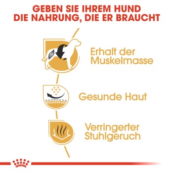 Bild, das die Vorteile von Hundefutter bewirbt, mit Symbolen und Text: 'Erhalt der Muskelmasse', 'Gesunde Haut', 'Verringerter Stuhlgeruch.'