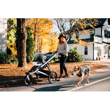 Eine Frau in einem gemütlichen Pullover und Hut schiebt einen Kinderwagen auf einem mit Blättern bedeckten Weg, begleitet von einem Hund in einem grauen Mantel.