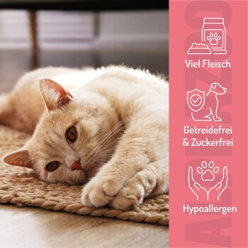 Ein Behälter mit weichen Pferdefleisch-Leckerlis, beschriftet mit "Pferdammt Lecker" und "Mich kannst du einfach verfüttern" auf einem mit Leckerlis übersäten Hintergrund.