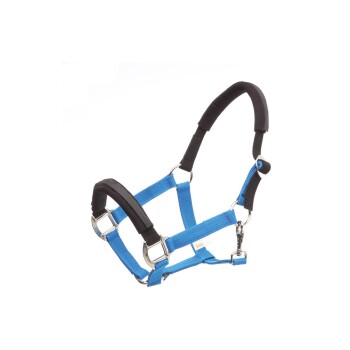 KavalLastic helles cyanblau WB (Warmblut)