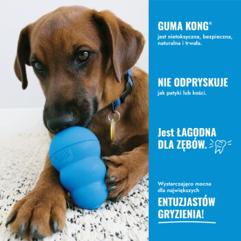 Brązowy szczeniak gryzący niebieską zabawkę KONG obok niebieskiego panelu z napisem "GUMA KONG", "NIE ODRYSKUJE", "Jest łagodna dla zębów."